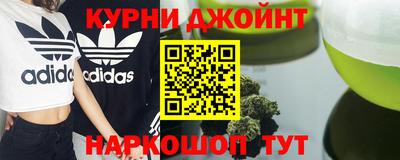 крисы Кулебаки
