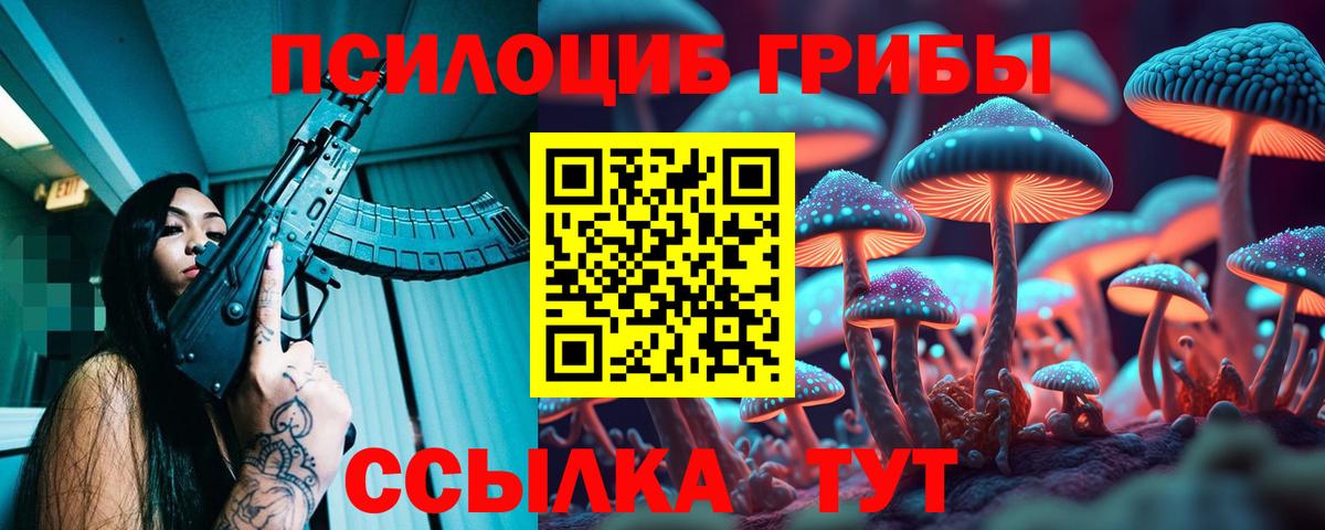 Бузулук  Галлюциногенные грибы мухоморы  Вход с VPN  дарнет шоп  Псилоцибиновые грибы Psilocybe 